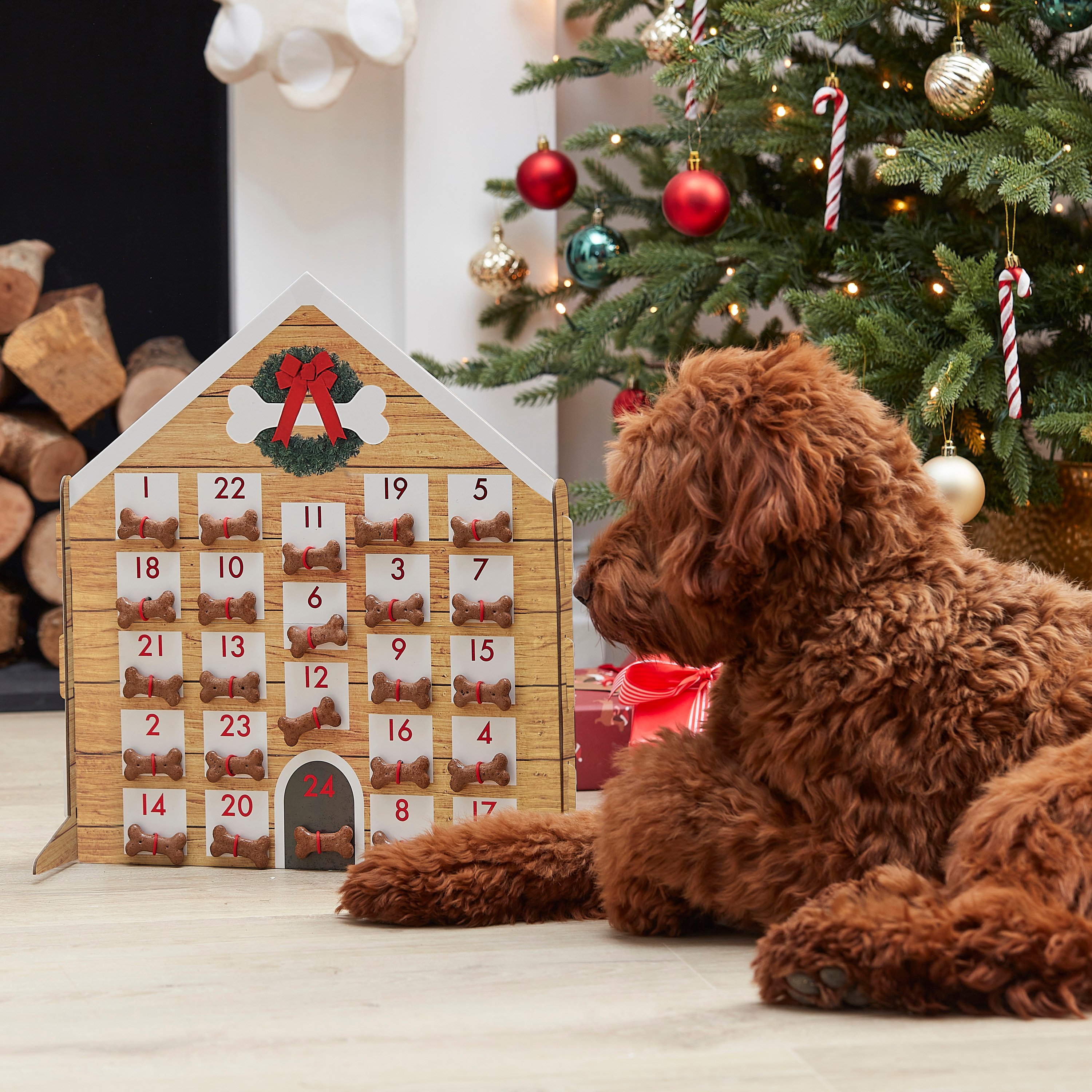 Pet store dog advent calendar best sale