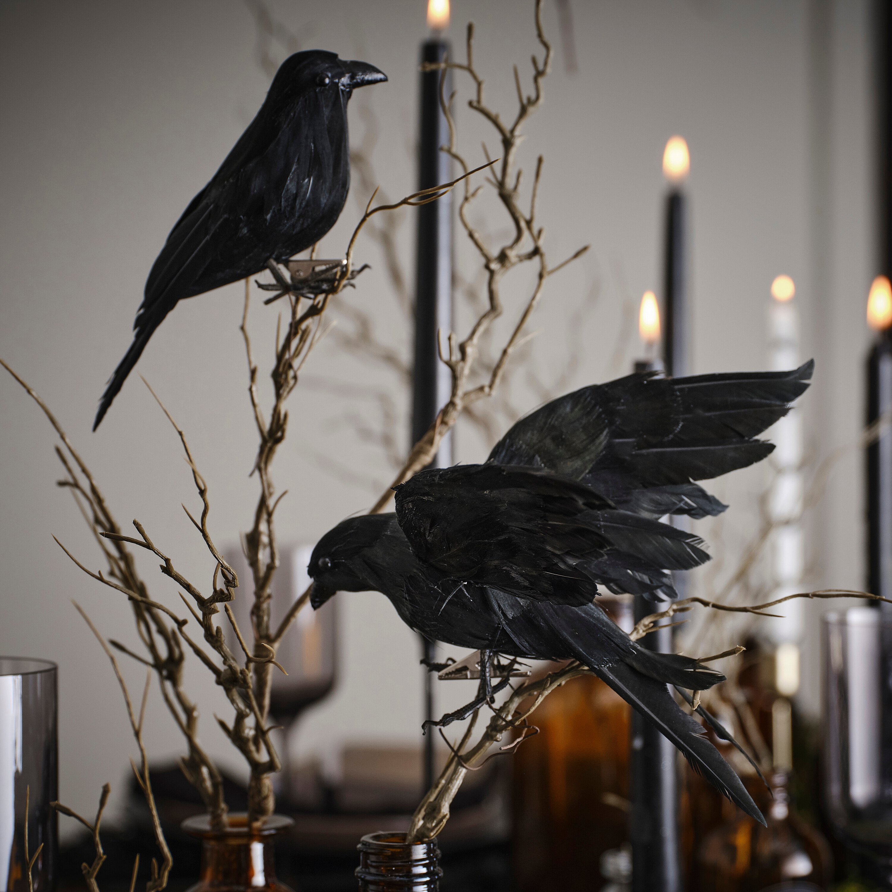 Spook-tacular Black Crow Halloween Decoration Ideas